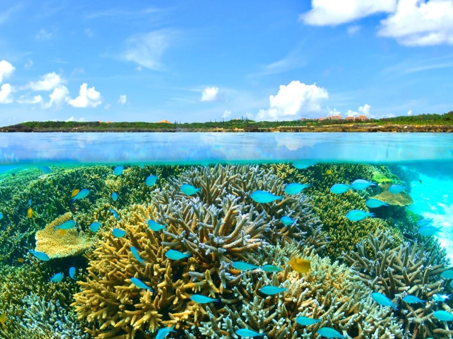 Hotel Shigira Mirage Miyakojima  Eksteriør billede